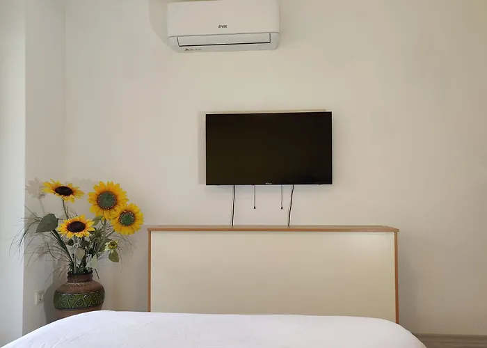 アパート Marusa *